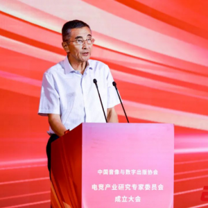 中国音数协第一副理事长张毅君：加强产业研究，构建产业生态，推动电竞产业高质量发展 ...
